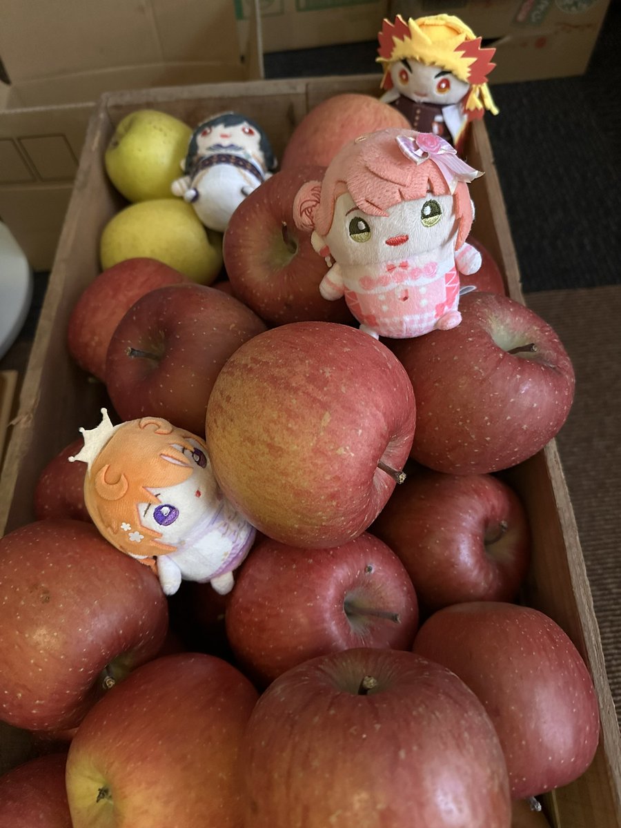 2025年もおまめちゃん達といっぱいお出かけして沢山食べてとっても