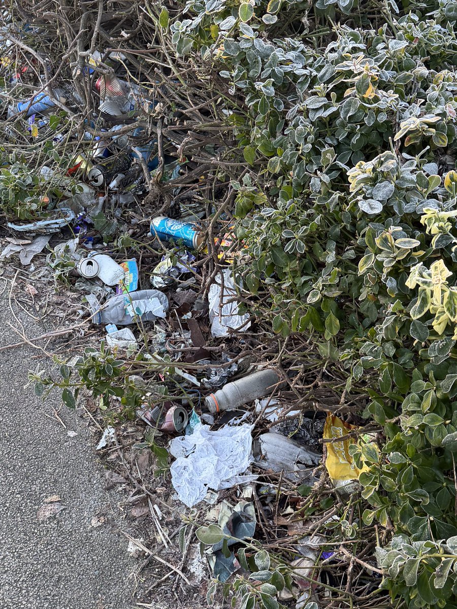 Please could somebody have a litter pick along the border next to netherfield Nottingham petrol station. It’s been like this for months and is within a litter picker distance!! First impressions of the store aren’t good! <a href="/Morrisons/">Morrisons</a> <a href="/dresserman/">Steve Dresser</a>