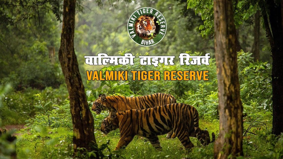 BiharInfraTales's tweet photo. 🚨Official Websites for Major Tourist Attractions in Bihar

Dr. APJ Abdul Kalam Science City, Patna – https://t.co/DT2caCI9bO

Buddha Samyak Darshan Museum – https://t.co/klcXjrpw0u

Rajgir Safari – https://t.co/agfCnv3jeD

Valmiki Tiger Reserve – https://t.co/wiEzQyWWTR

Rajgir Ropeway Ticket Booking – https://t.co/Hhn64lcYzE

Bihar Museum – https://t.co/VEXr6qwBoe

Bapu Tower – https://t.co/m16ARbUPnv

Mahabodhi Temple, Bodh Gaya – https://t.co/AjunXq8AZy
