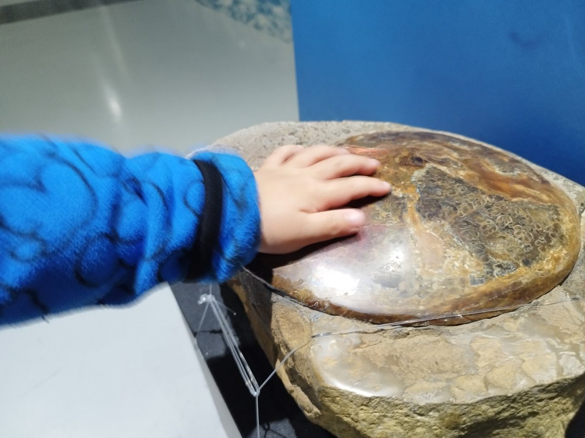 もり氏🦙マンガ好きライター tweet media