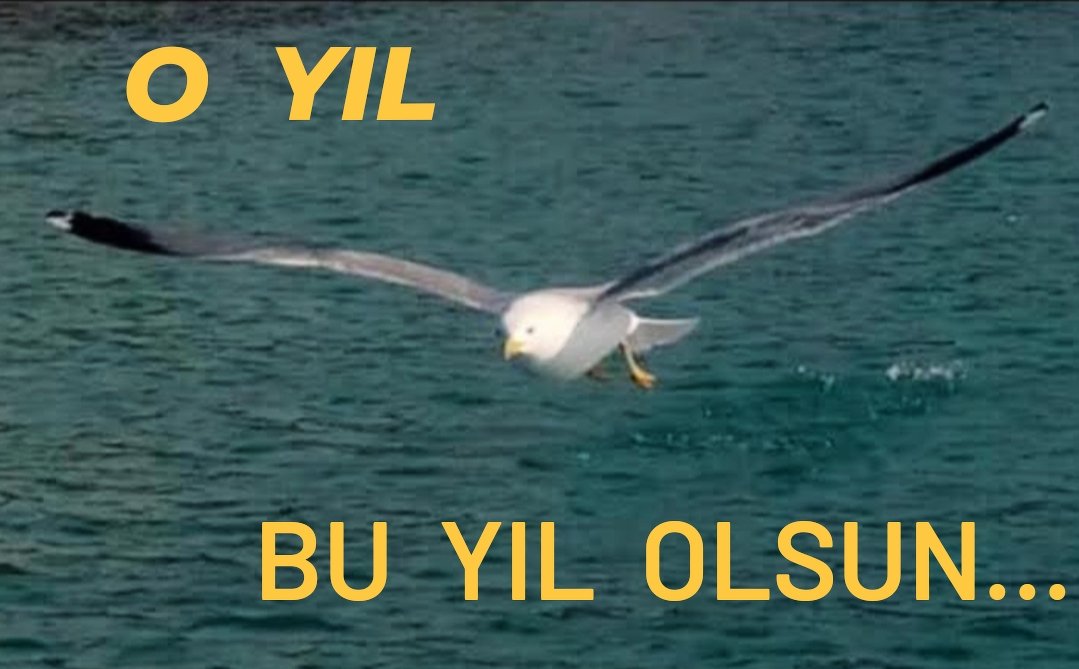 helvacıoluayhan (@helvacoluayhan) on Twitter photo 