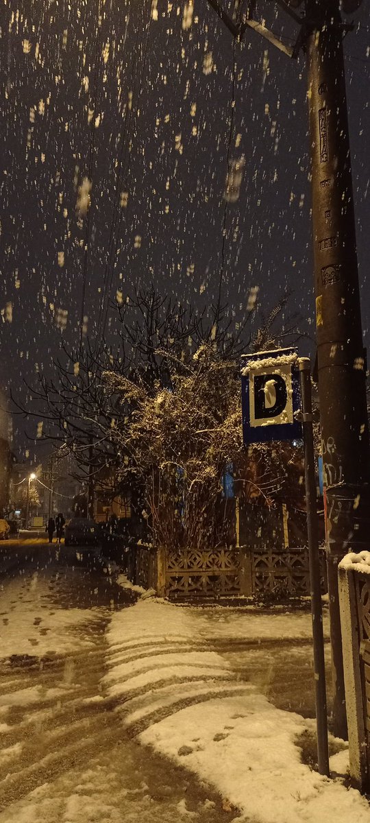 Arwenn____'s tweet photo. @digerkm ❄️ https://t.co/bw7fLxFJrE