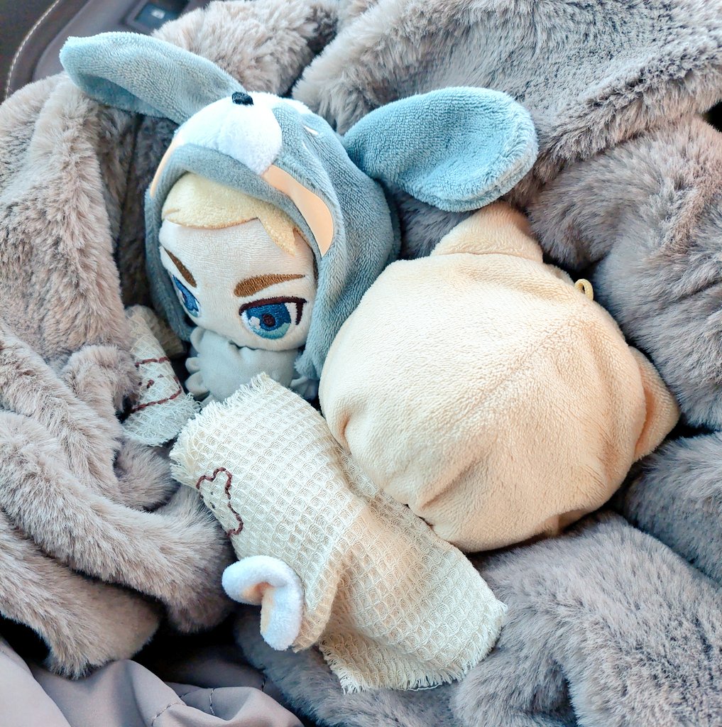 帰りの車内。ぱぴえるは景色を眺め、ぱぴはねんね。長旅お疲れ様