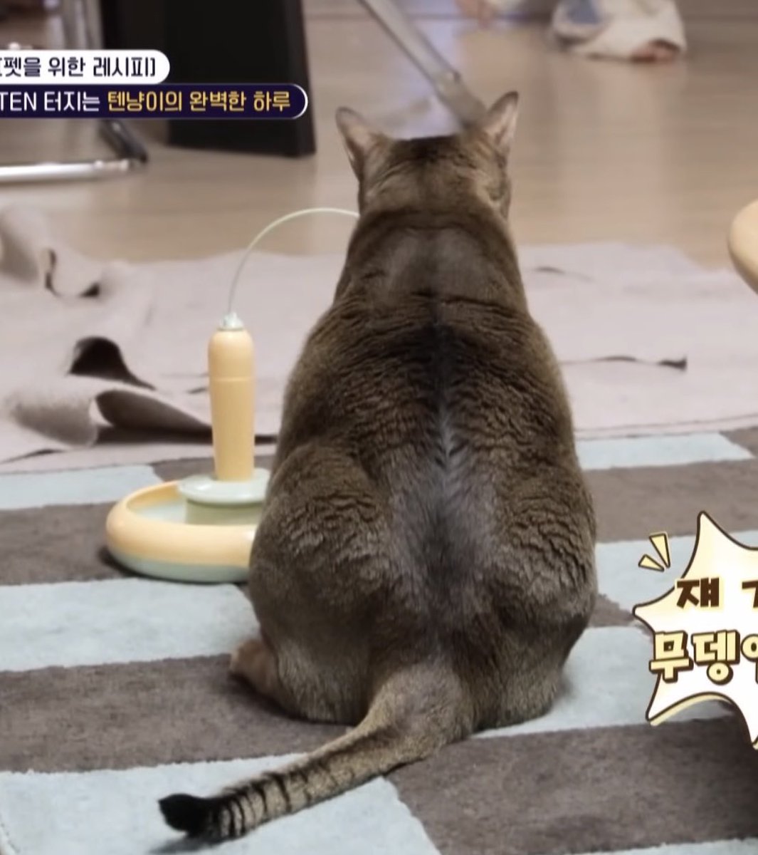 วันสุดท้ายของปีออนก้โดนหรอ