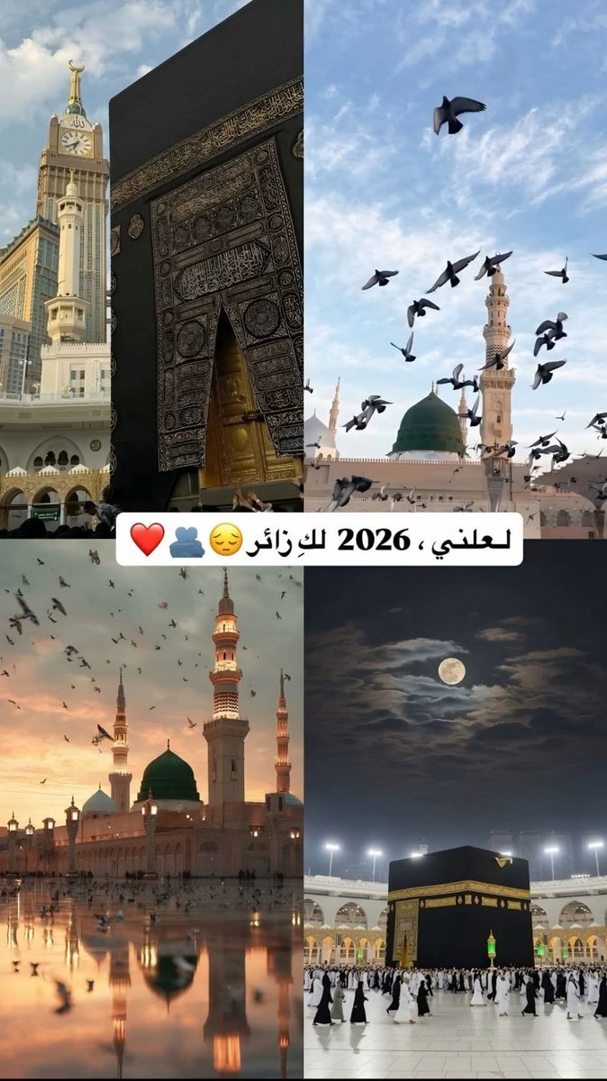 نور Noor tweet media