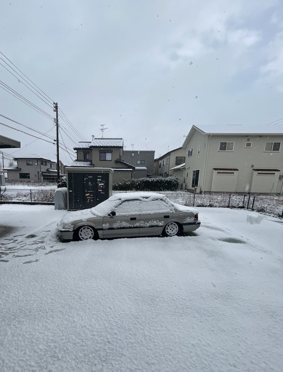 O味噌化