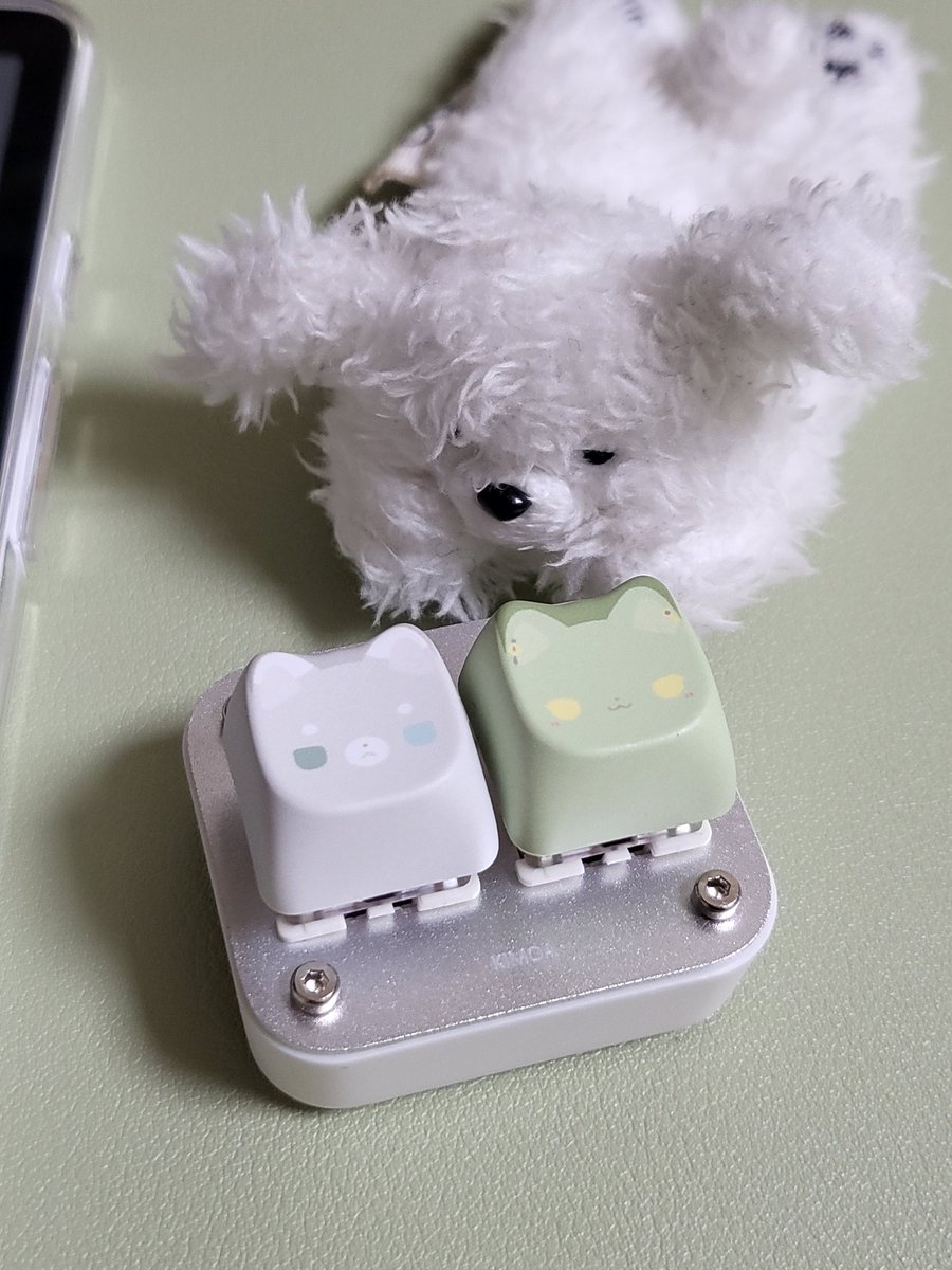 참 tweet media