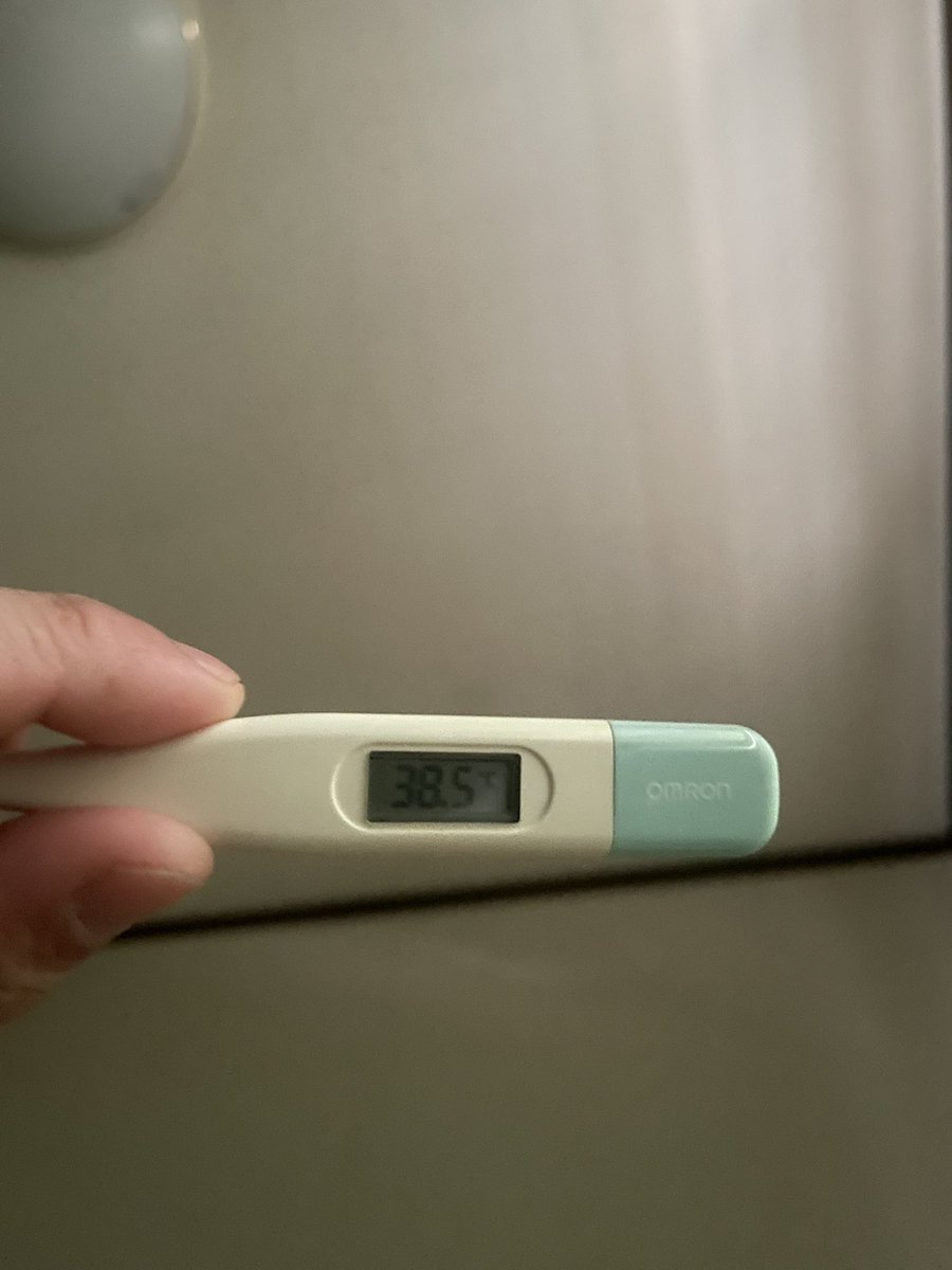 Behogenic's tweet image. つらいっす