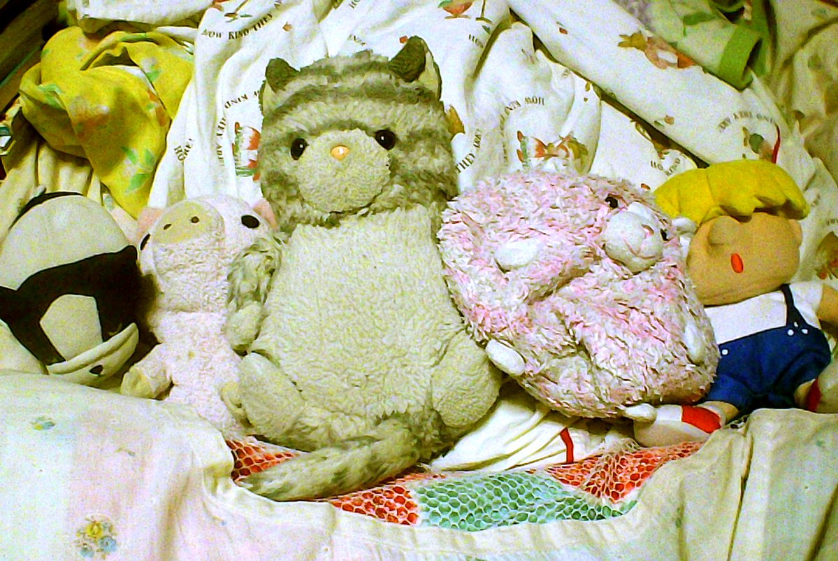 夜野ムクロジ (@yoru_meisou) / Posts / X