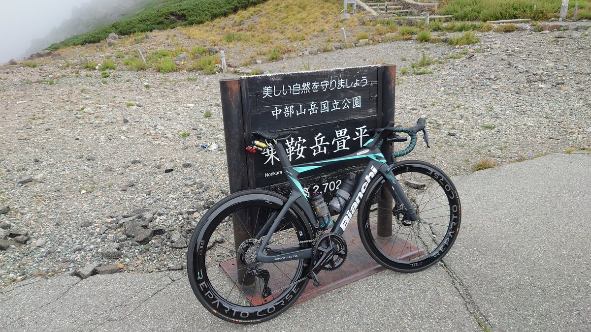 エチケット・ライオン改めはんぶんきりん tweet media