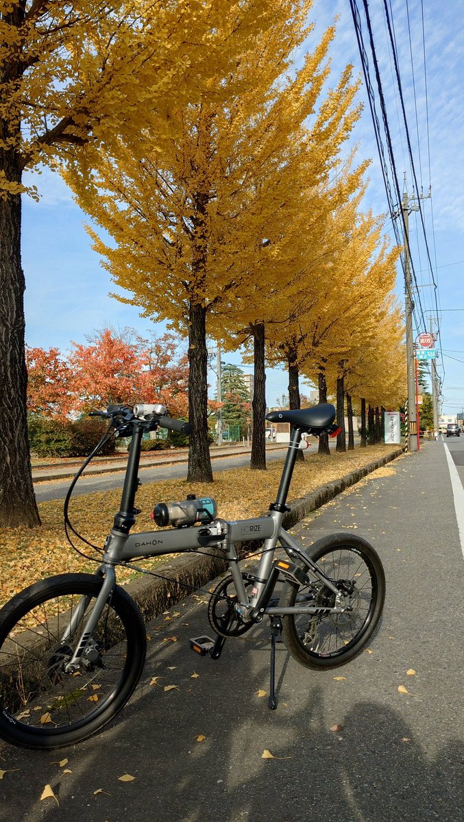 エチケット・ライオン改めはんぶんきりん tweet media