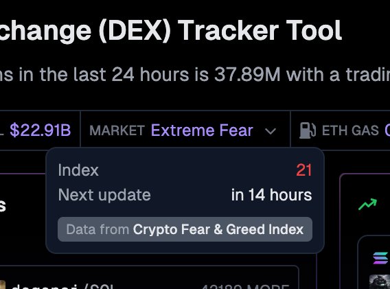 🦎COINGEKO-T: "Affrontare la Paura: Come Chiudere l'Anno con Serenità"