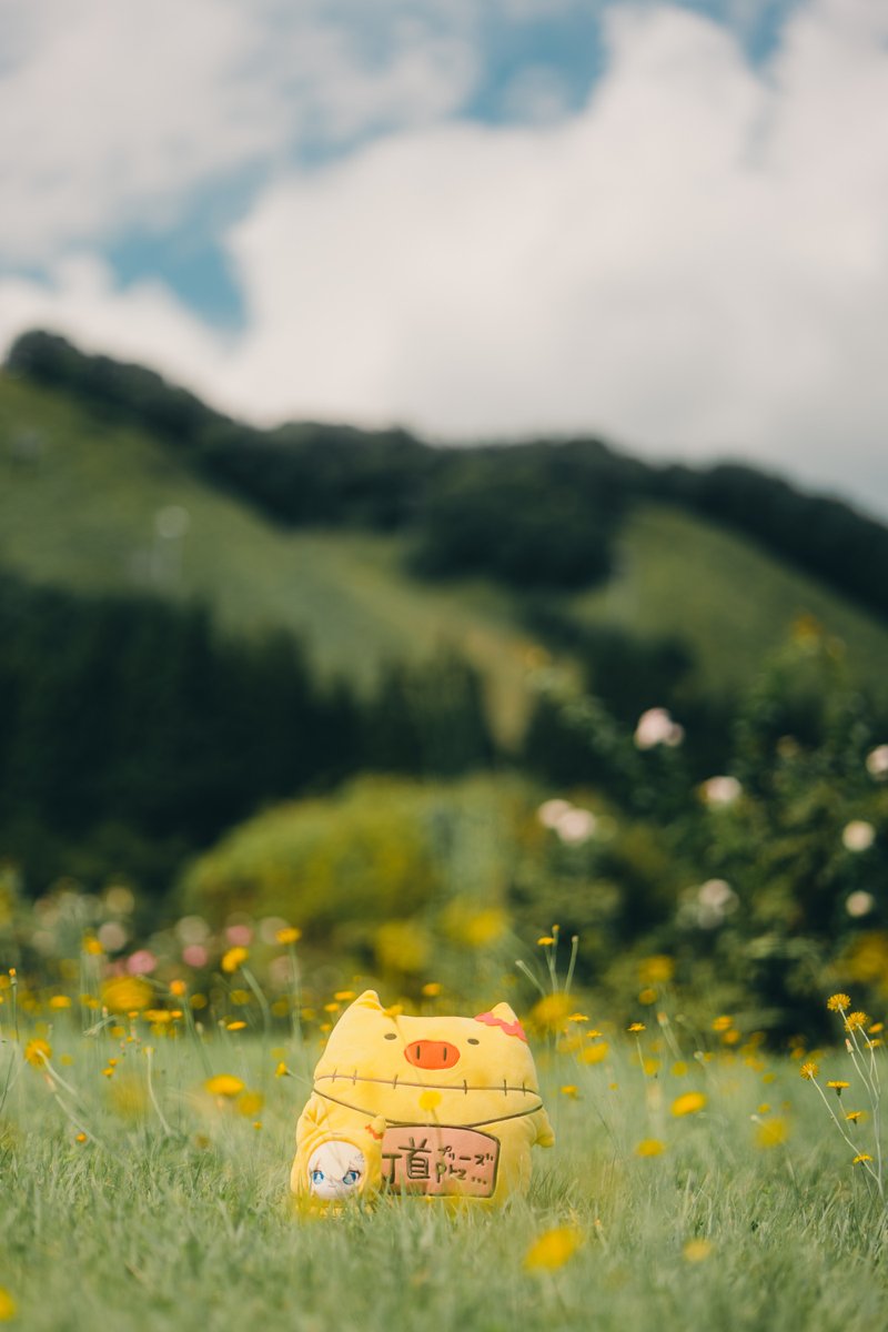 たきし tweet media