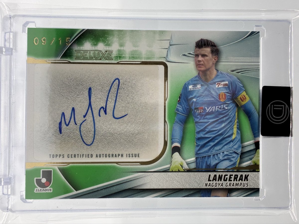 2025年自引きランキング 第1位 ボックス購入の波に乗っかって 見事自