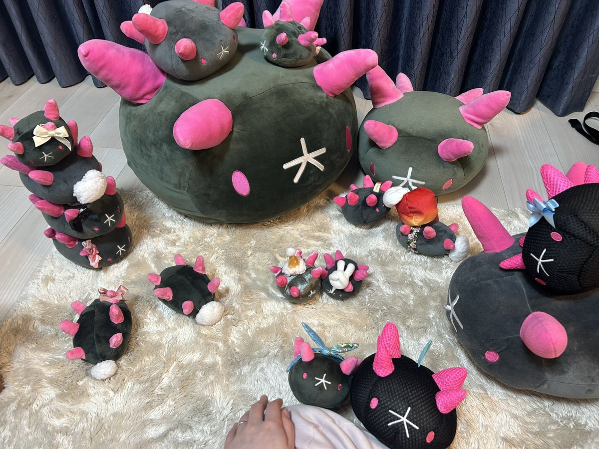 今年私を一番大きく変えたのは、 もちろんナマコブシとの出会いです