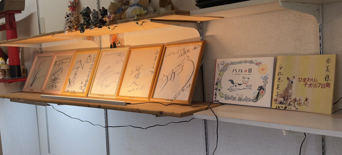 hogoya0310's tweet photo. 年末年始、猫カフェは休まず
オープンしております✨

初詣は保護家の猫神社
いかがでしょうか？🐈

来年からは著名人のサイン色紙も
飾っております✍️✨

#保護猫
#猫
#ネコ
#猫カフェ
#宮崎
#いのちのはうす保護家 https://t.co/Dk0oSSs0PD