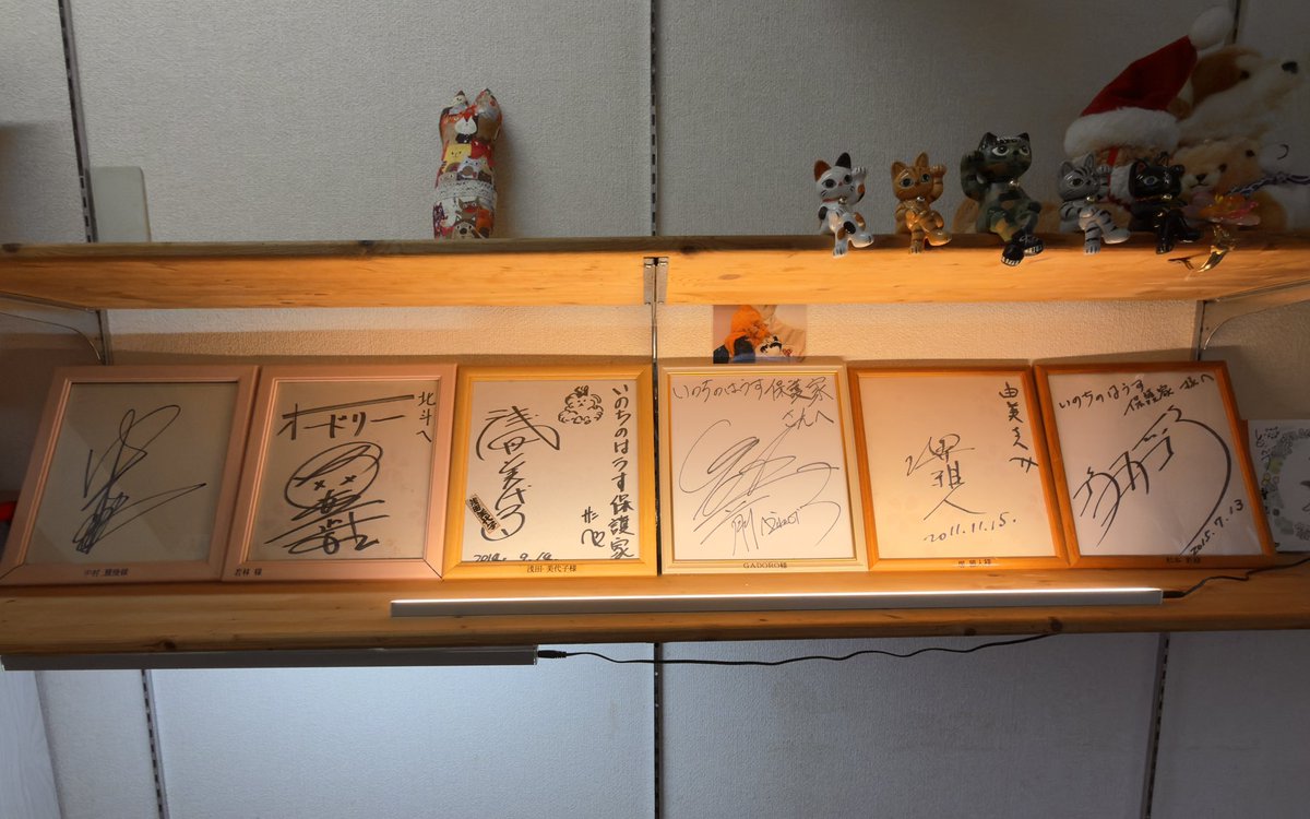 hogoya0310's tweet photo. 年末年始、猫カフェは休まず
オープンしております✨

初詣は保護家の猫神社
いかがでしょうか？🐈

来年からは著名人のサイン色紙も
飾っております✍️✨

#保護猫
#猫
#ネコ
#猫カフェ
#宮崎
#いのちのはうす保護家 https://t.co/Dk0oSSs0PD