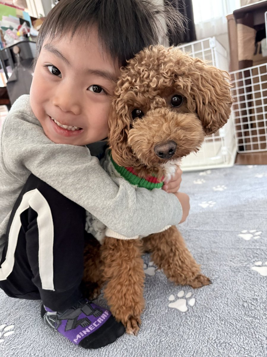 GaO_________'s tweet photo. 今年も色んなことがあった1年だったな〜

来年は外部研修できるだけ受けて
自己研鑽したい💪🏻

みなさま2025年も
ありがとうございました🙂‍↕️ https://t.co/YJt2oSGIDA