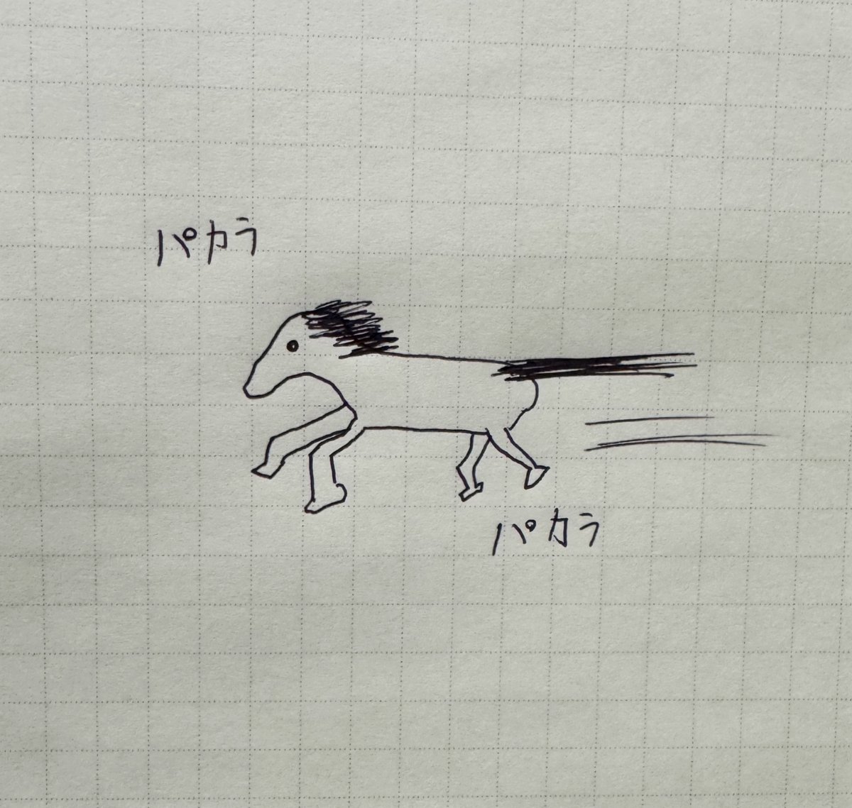 ara_mackey's tweet photo. 2026年！
明けましておめでとうございます🎍
今年も宜しくお願い致します🐎

年男だーー🐎🫏🎠🏇 https://t.co/NnAhLuf9YY