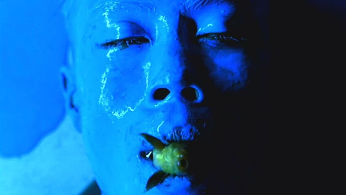 Amorphophallus 🦖 tweet media