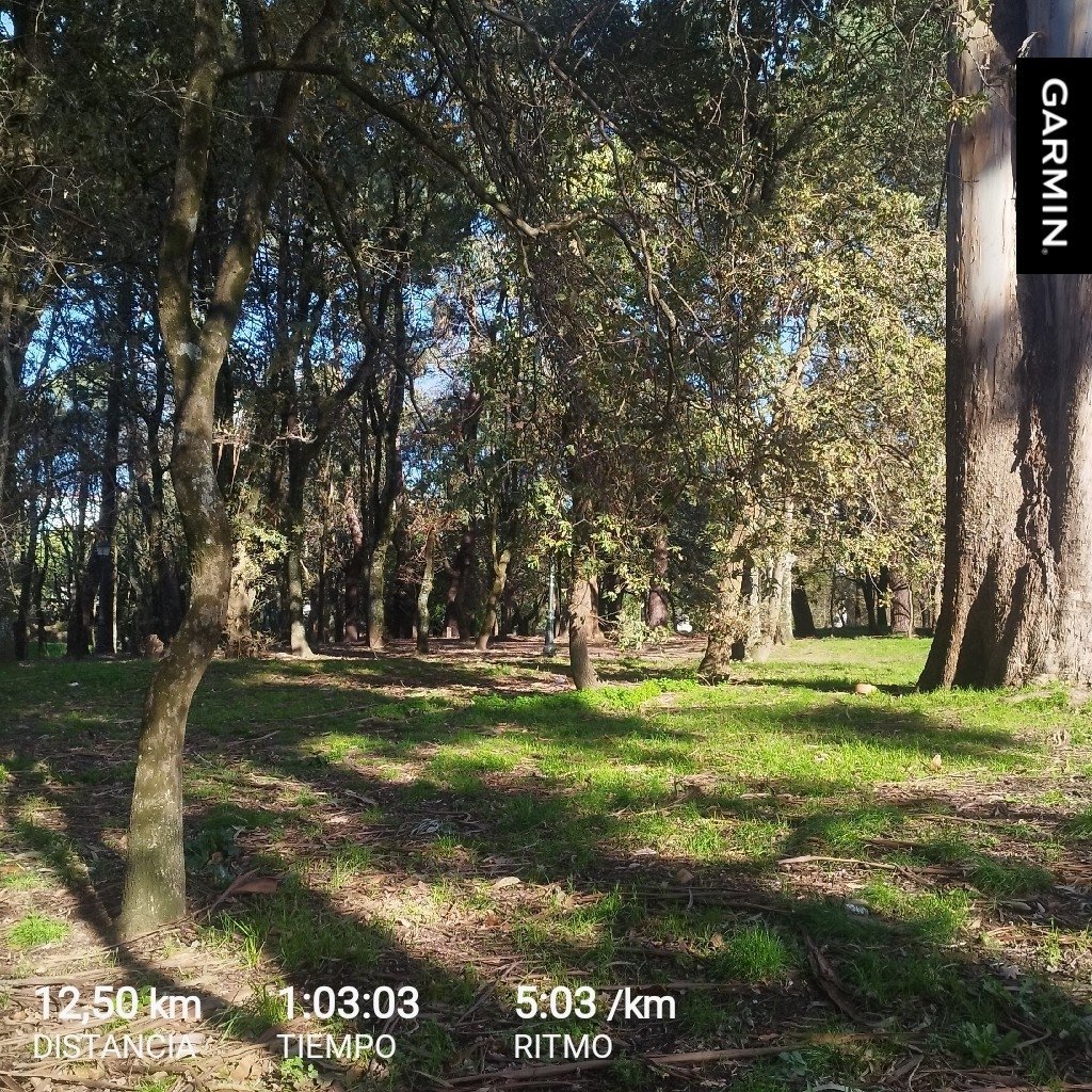 Félix Abalde tweet media