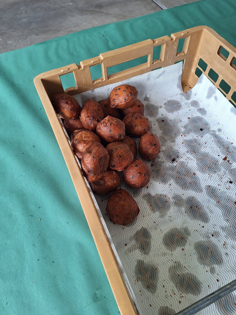 Noodgeval in Woudenberg