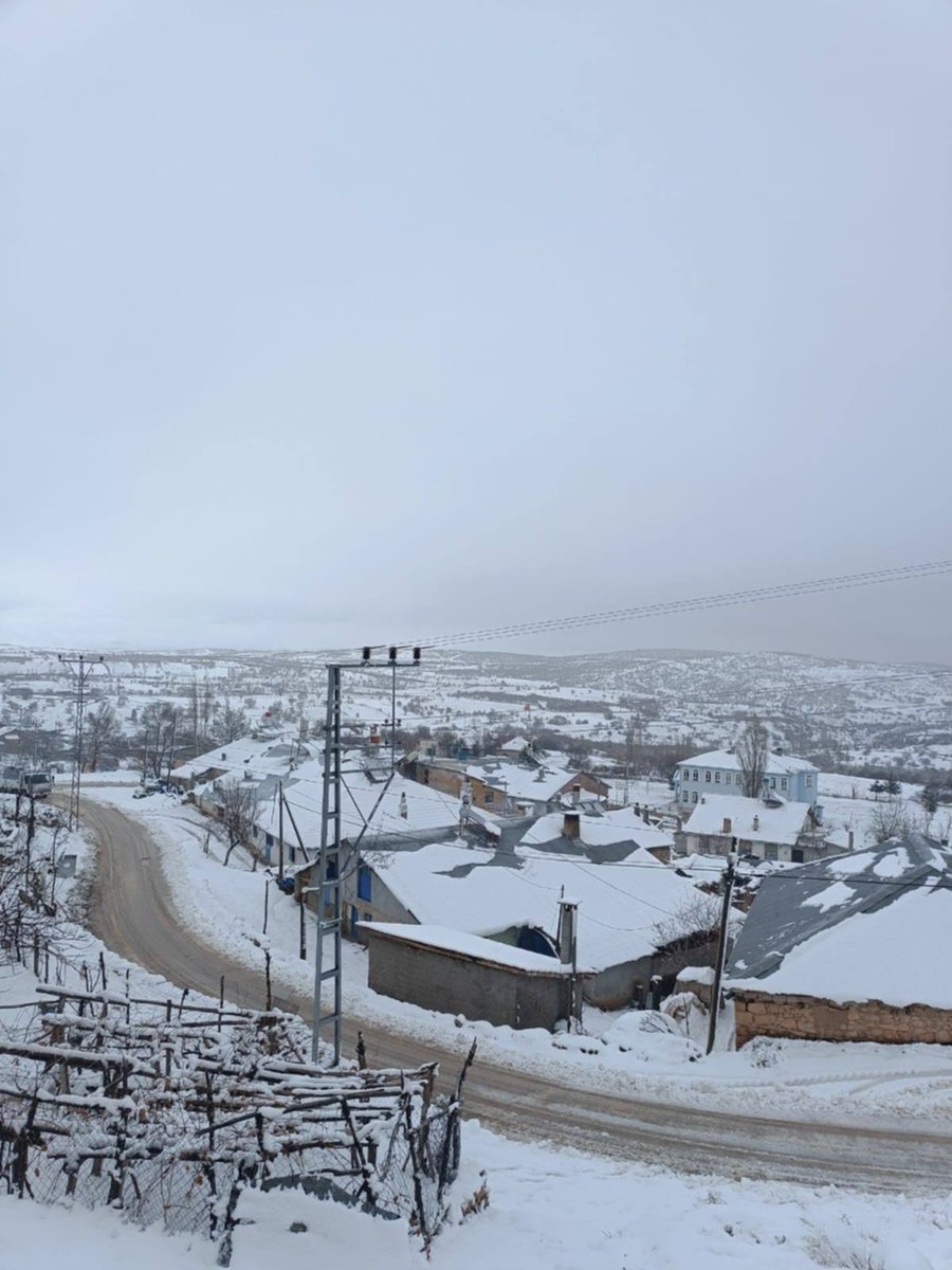 Kuttusi Demir tweet media