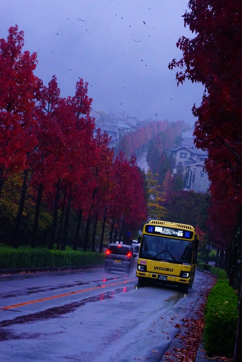 まことページ まこと (@yamakoto01) / Posts / X