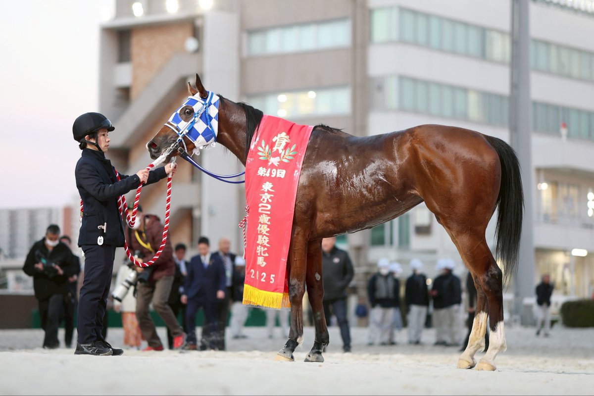 野畑凌 tweet media