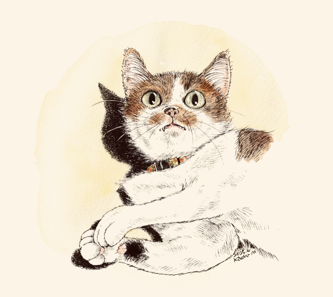 その2：ペン画🖋️ ペン画大好き❤️2026年はもっと描きたいなー