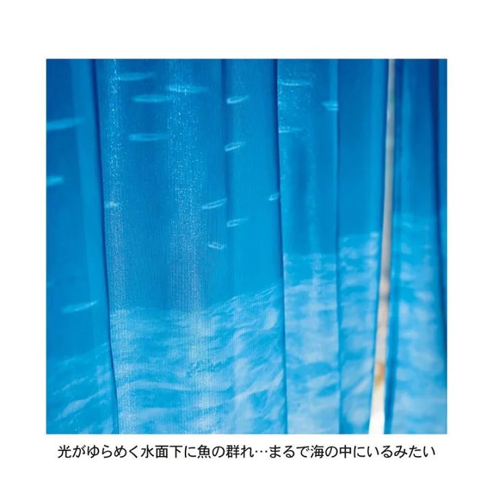 このレースカーテン可愛すぎて海
