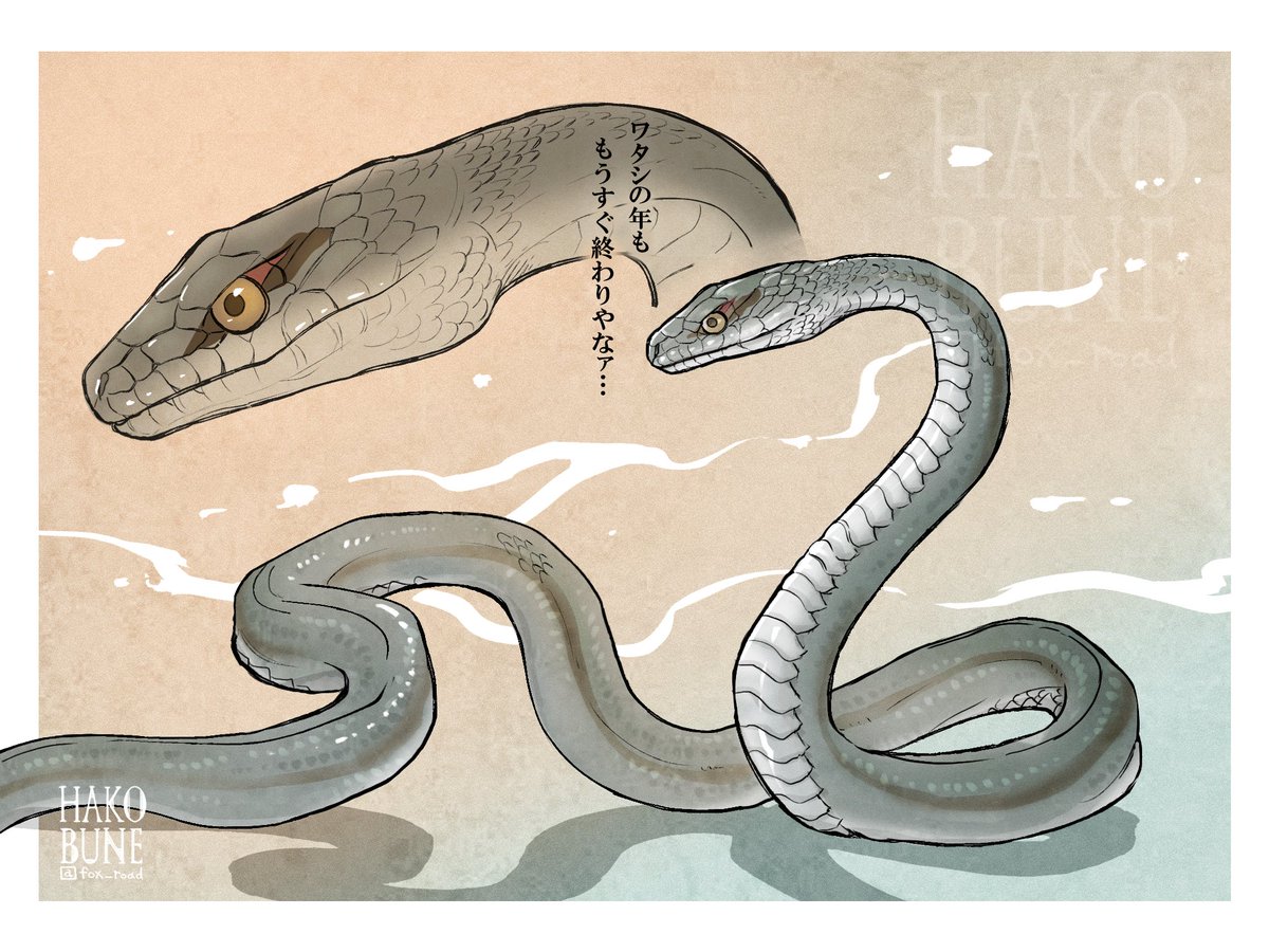 箱舟こみち｜5/3九州ティアN30 tweet media
