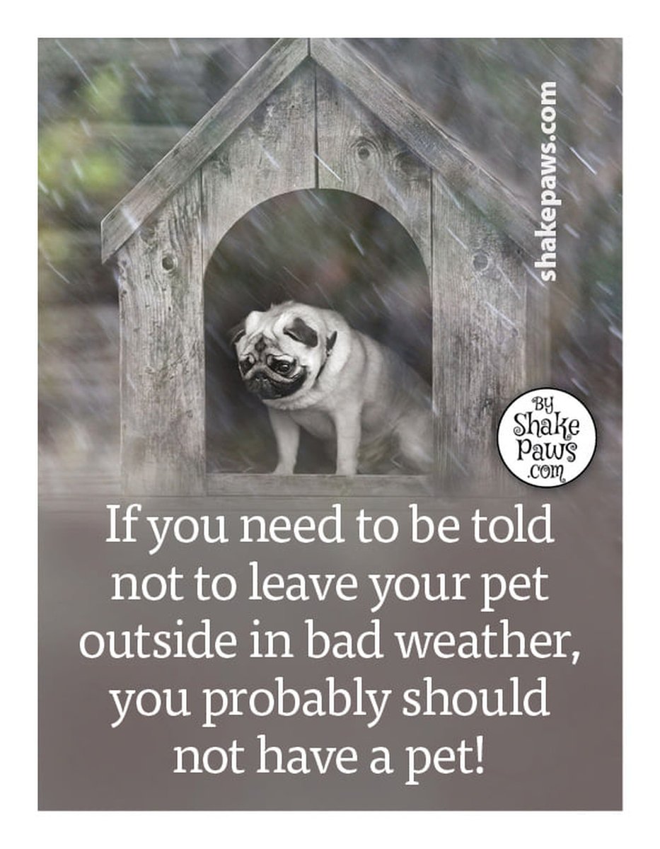 The Four Hearts (@t4hrts) on Twitter photo 