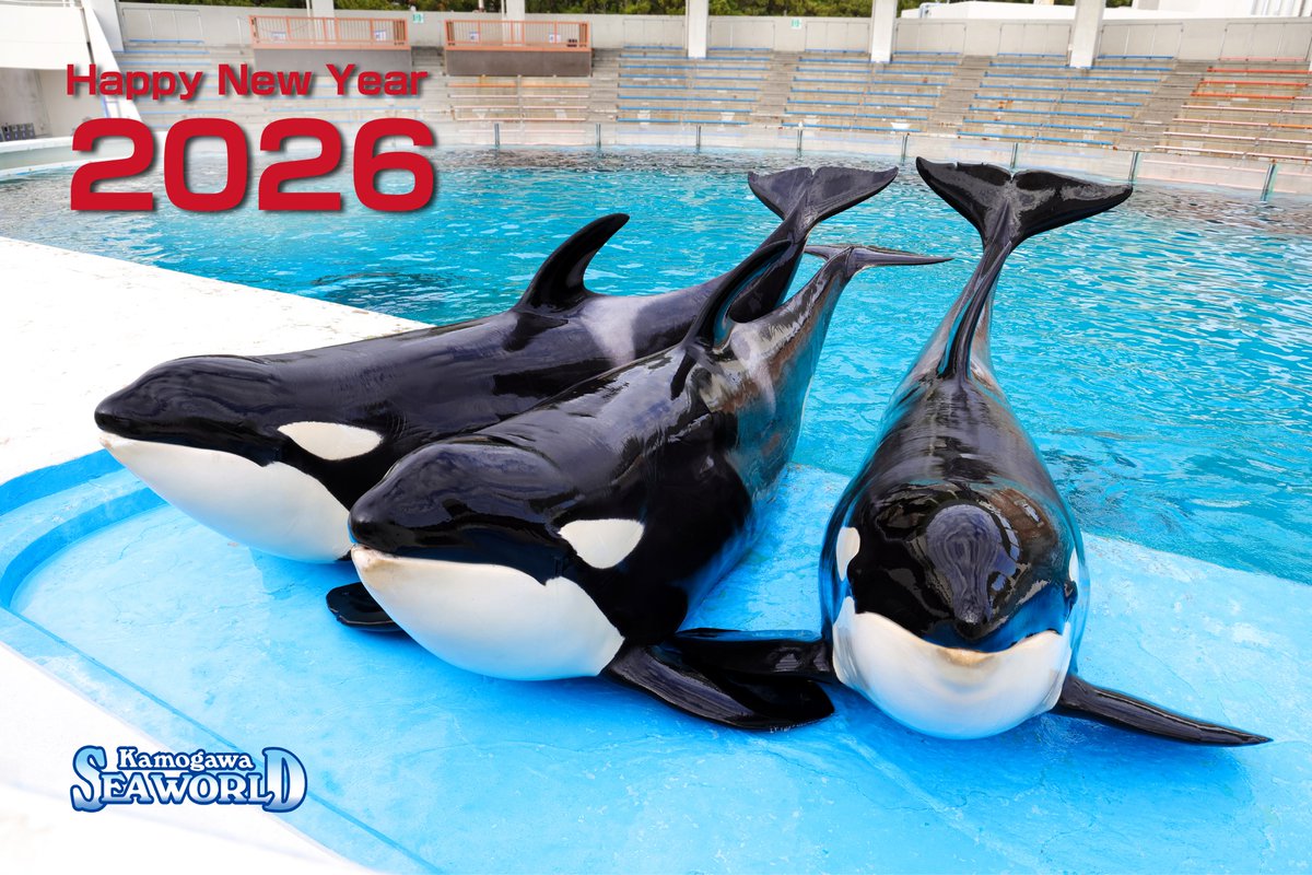 新年明けましておめでとうございます。 皆さんにとって、何事もウマく