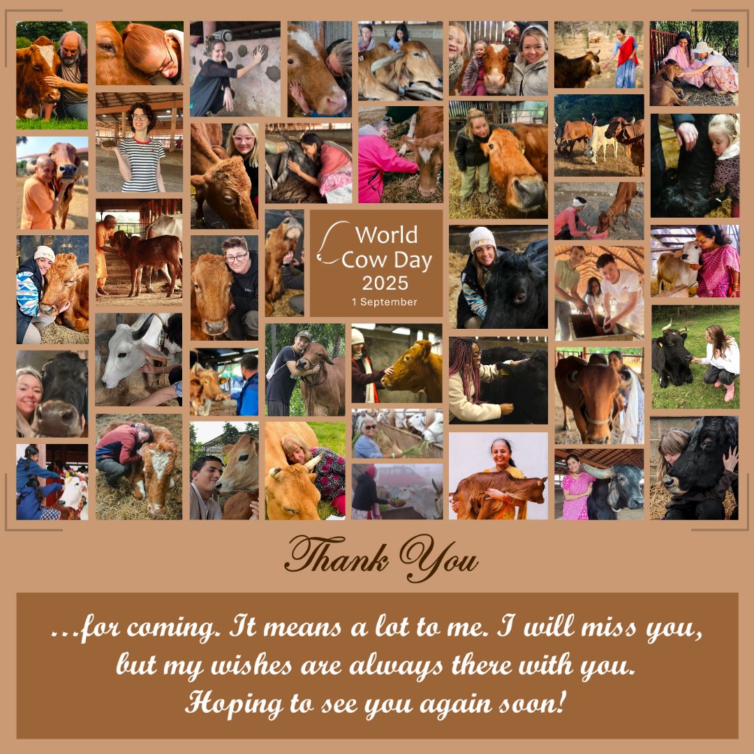 WrldCowDay's tweet photo. As the year 2025 comes to an end - 

I wish to express my heartfelt thanks to you'll for making my year memorable. It means a lot to me.

I will miss you, but my wishes are always there with you.

Hoping to see you again next year!

#WorldCowDay #WorldNeedsMe #WCD2025 https://t.co/gBOMGxbeeT