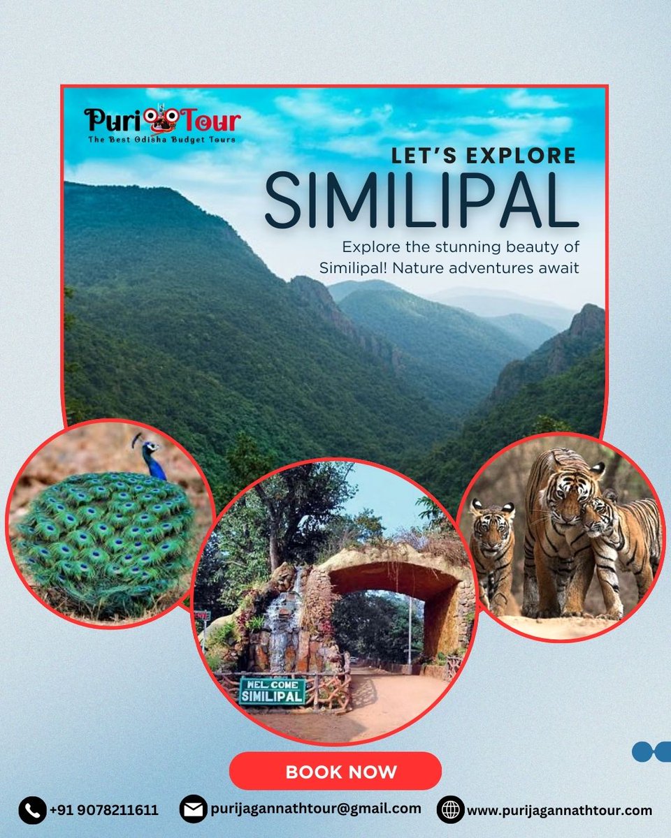 jagannath_tour's tweet image. Embark on a thrilling Similipal tour! From picturesque landscapes to exotic wildlife, experience the magic of nature. Perfect for adventure seekers and nature lovers alike—let the journey begin&amp;gt;&amp;gt; purijagannathtour.com/book-now/

#puritour #simlipal #waterfall #animals #tourofodisha