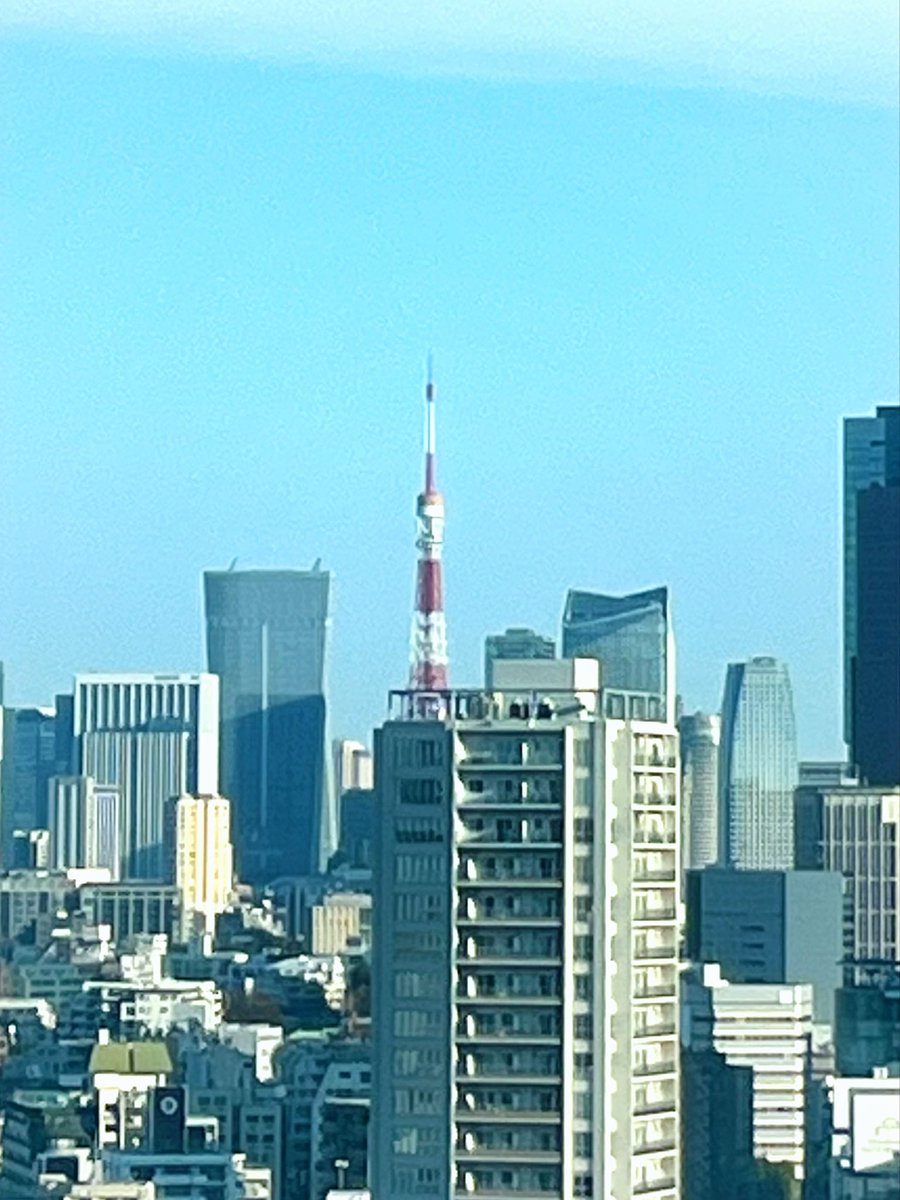 山本あやめ tweet media