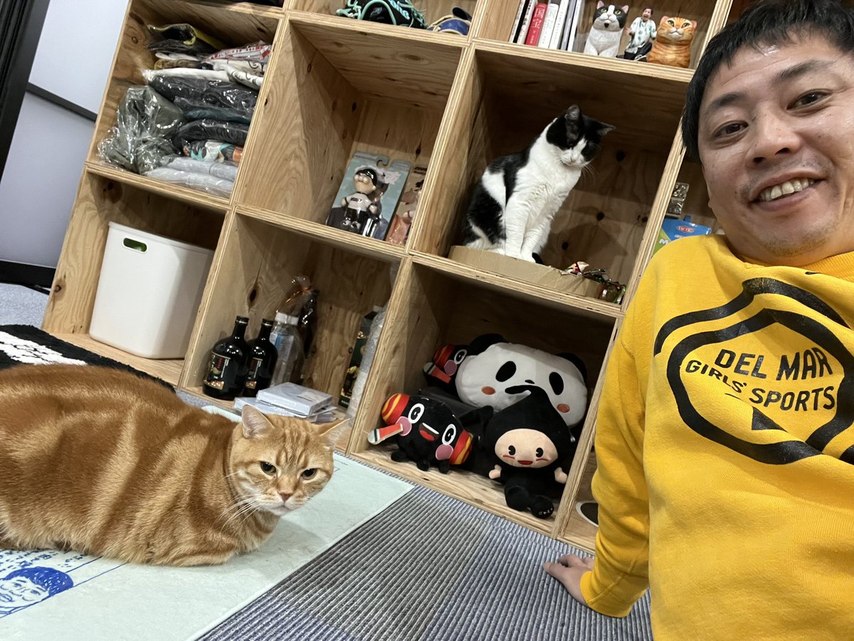 こっこページ こっこ (@cocco3673) / Posts / X