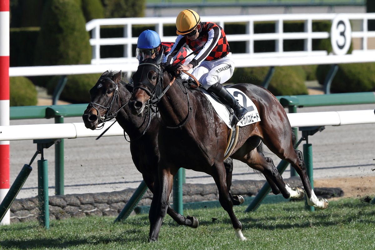 2025年12月27日（土）阪神競馬場

☆4R🥈2歳未勝利
マゲバスピードと高杉吏麒騎手

2着馬にロックオンしてしまいました😅

高杉騎手を目の前にした時は「吏麒、吏麒、高杉吏麒🎶」って心の中で呟いています（笑）

グループ魂
竹内力