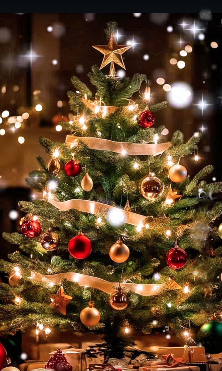 _nurgulyavuz's tweet image. 2026, iyilerin yılı olsun.🤗
Sağlıklı, huzurlu, barış dolu, mutlu yıllar diliyorum. 🥰🙏✨️❄️🎄☃️🎉🌹🎊
#MutluYıllar #yeniyil2026 #Noel #YeniYıl