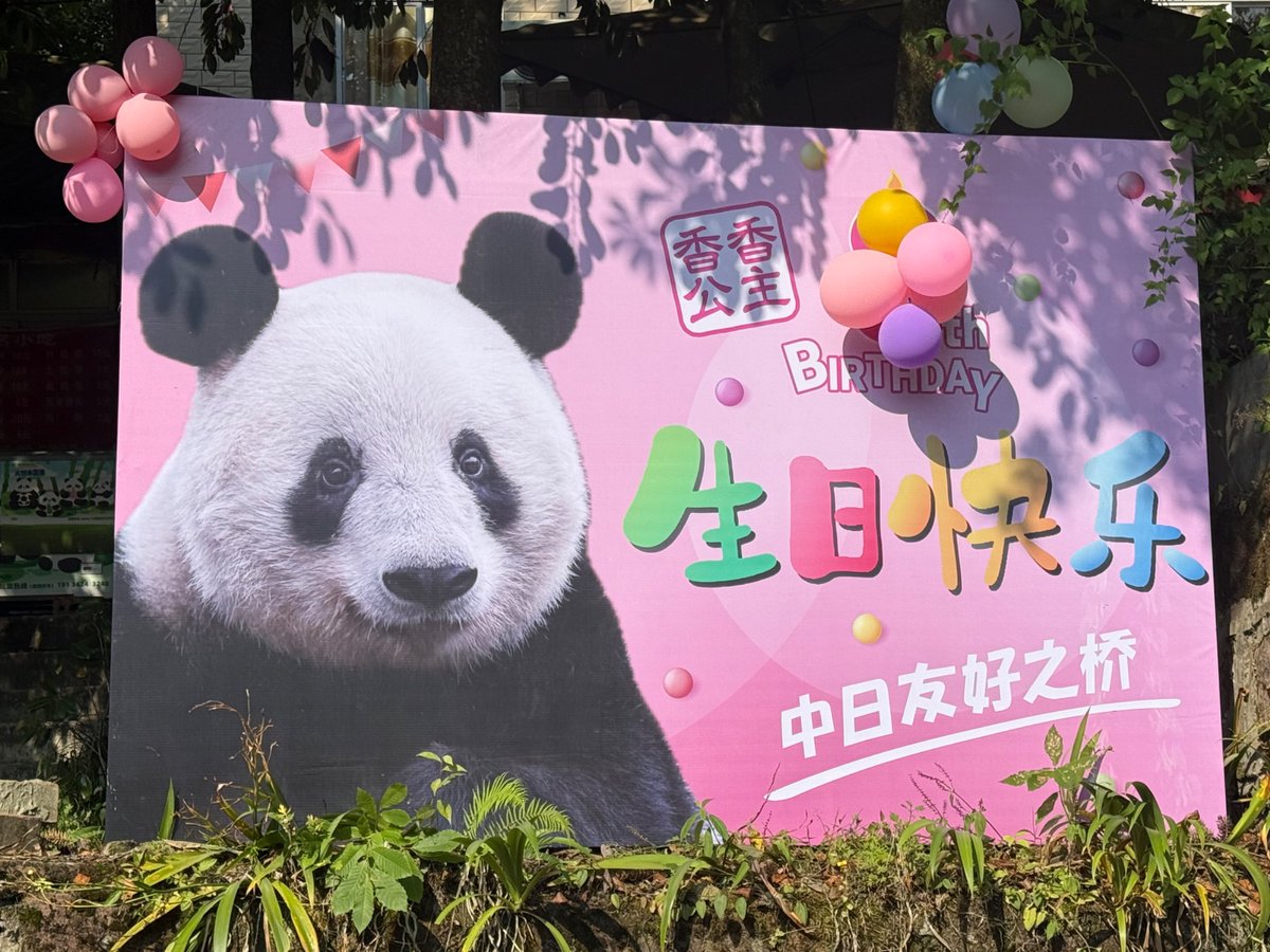 今年はシャンBD🎂現地でお祝いし、
おシンさまに直接お礼が言えて良かったです。
6月の雅安は暑かったですが、
まさに深緑できれいでした。

びりおさん🌰には会えなかったので、
また来年も行けたらいいのですが…