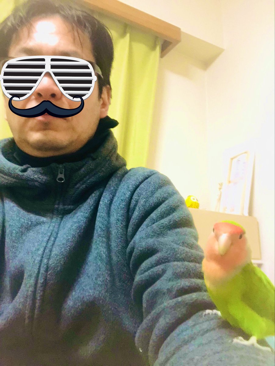 あおぱんだ (@zx_tama) / Posts / X