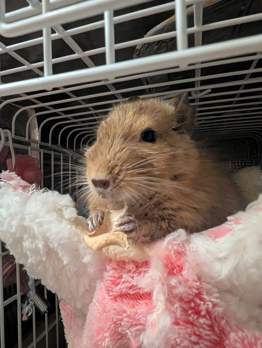 min.k🍁 tweet media