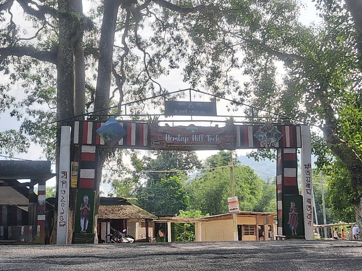 Kaziranga National Park & Tiger Reserve tweet media
