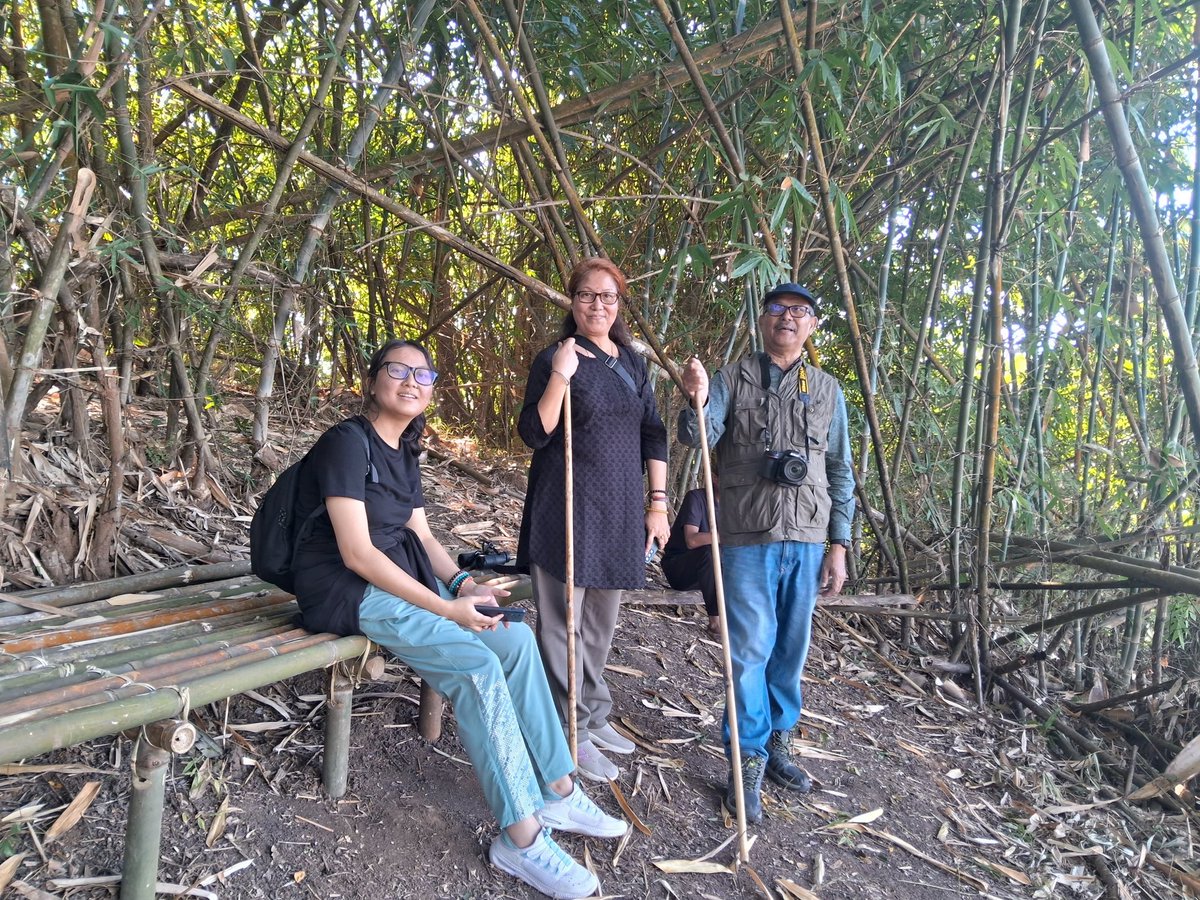 Kaziranga National Park & Tiger Reserve tweet media