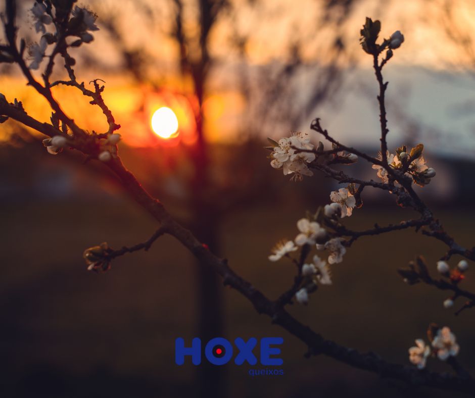 Comezamos un novo ano con ilusión e ganas de seguir facendo as cousas ben. Grazas por acompañarnos e pola confianza. #BoAnoNovo 🤍