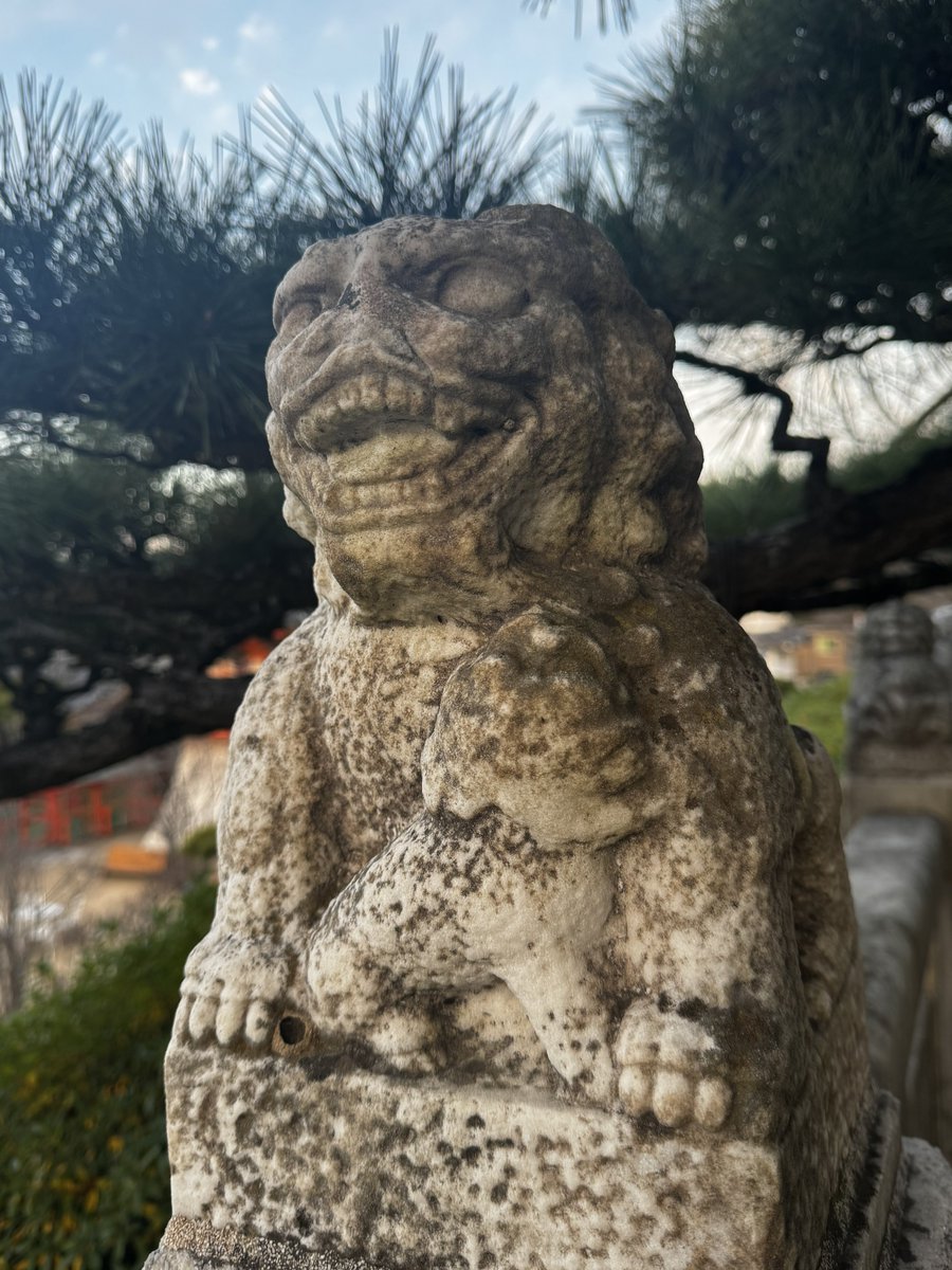 子育て世代の狛犬さん