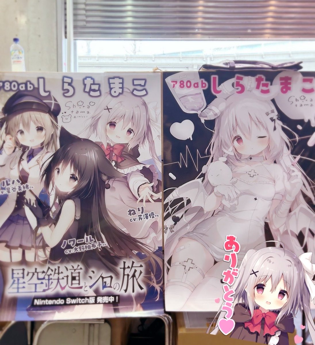 ちゃる❤︎₍ᐢ..ᐢ₎様 王鴻恩❄️🍡 12/25~1/4日本遠征 (@andy905111) / Posts / X