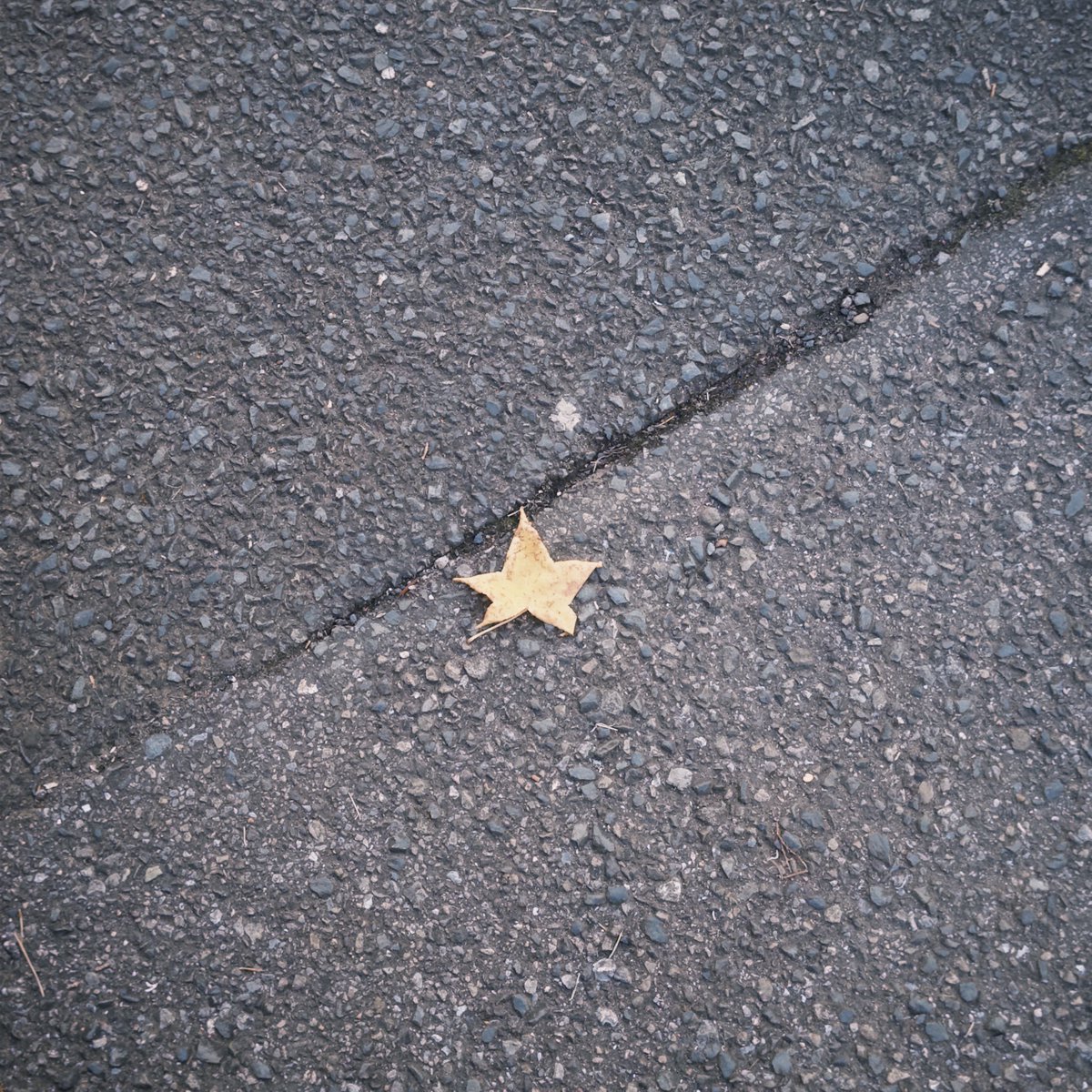 すず (@suzu33_) / Posts / X