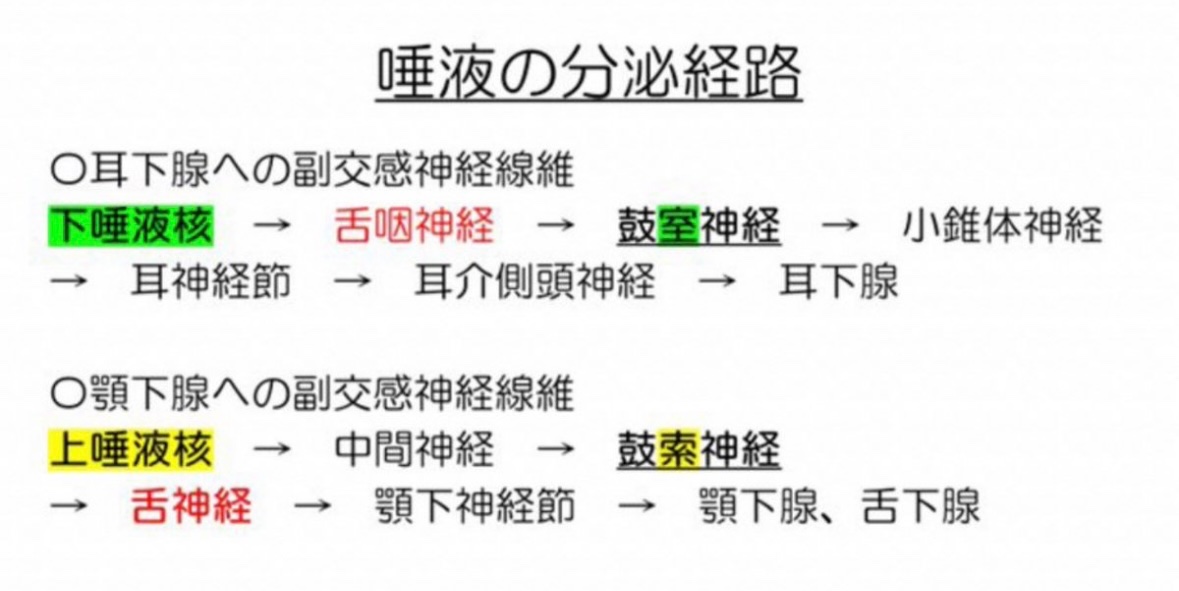 残1 119回歯科医師国家試験対策 パート1&2 119回歯科医師国家試験対策
